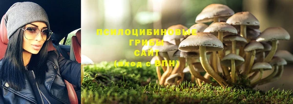 эйфоретик Алзамай