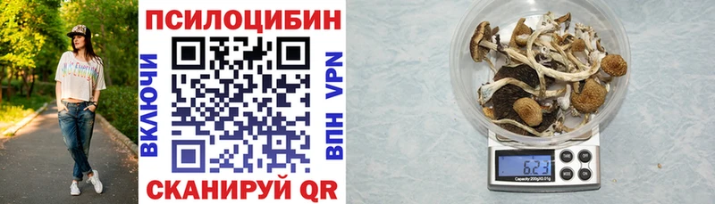 Псилоцибиновые грибы Psilocybe  блэк спрут ТОР  Лукоянов  где продают  